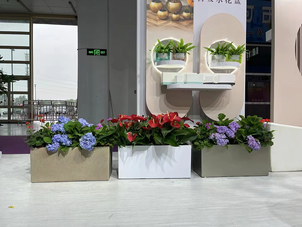 辦公室綠植租賃平臺(tái)如何選擇呢？有哪些注意事項(xiàng)呢？