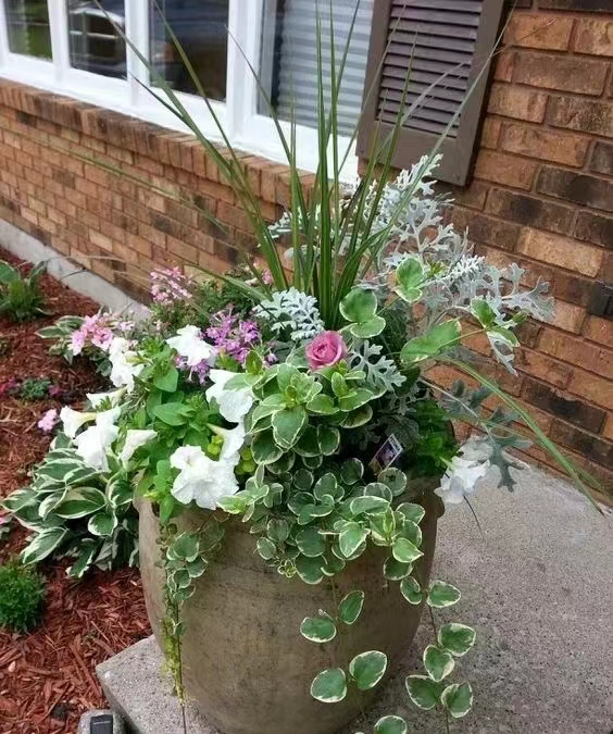 花鏡設計與施工