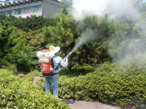 園藝養(yǎng)護(hù)