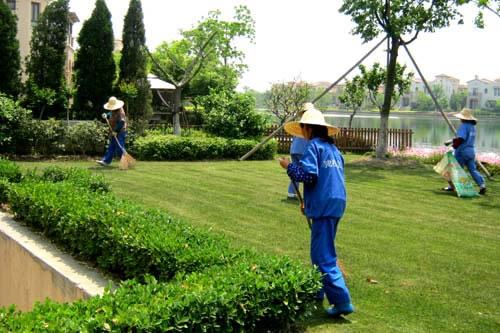 園藝養(yǎng)護(hù)