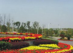 蘇州某醫院綠化