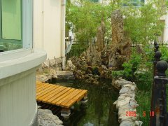 蘇州新區某私家別墅綠化